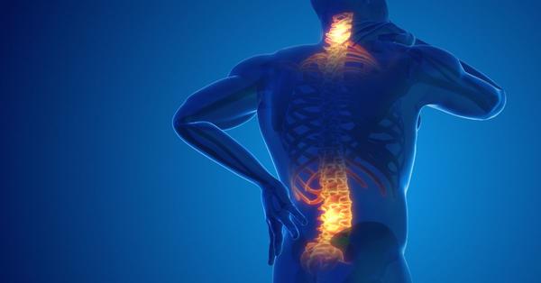 Back & Spine therapy at Seva Physical Therapy