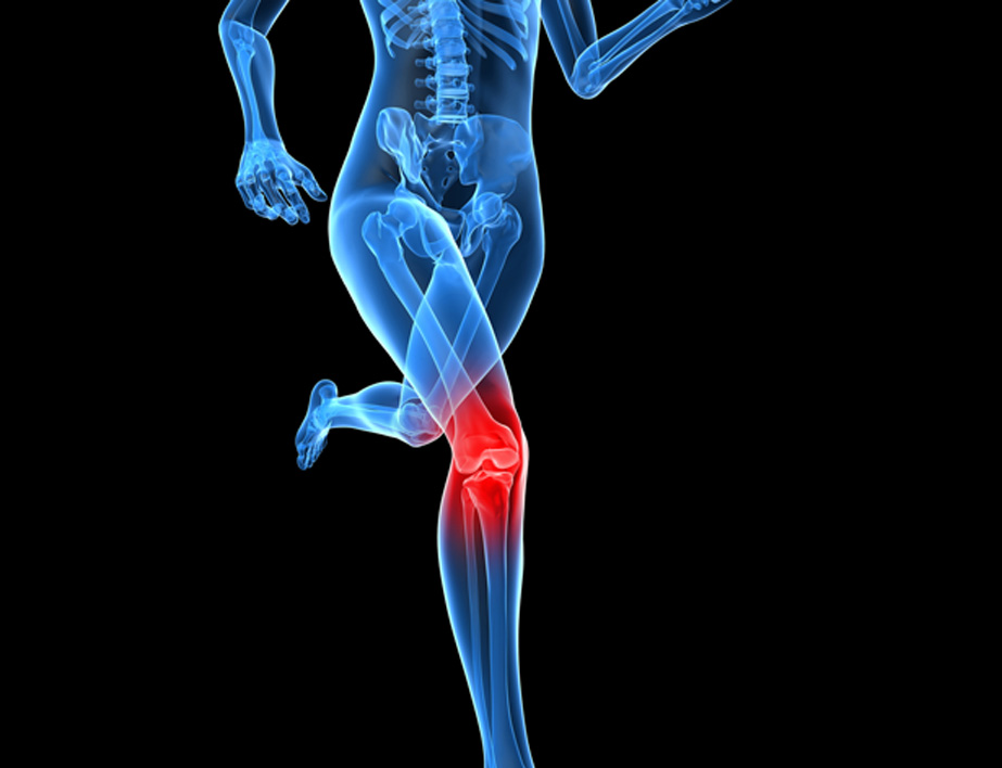 Knee Pain therapy at Seva Physical Therapy