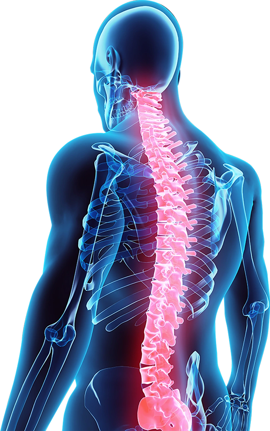 Seva Physical Therapy pain area body assessment